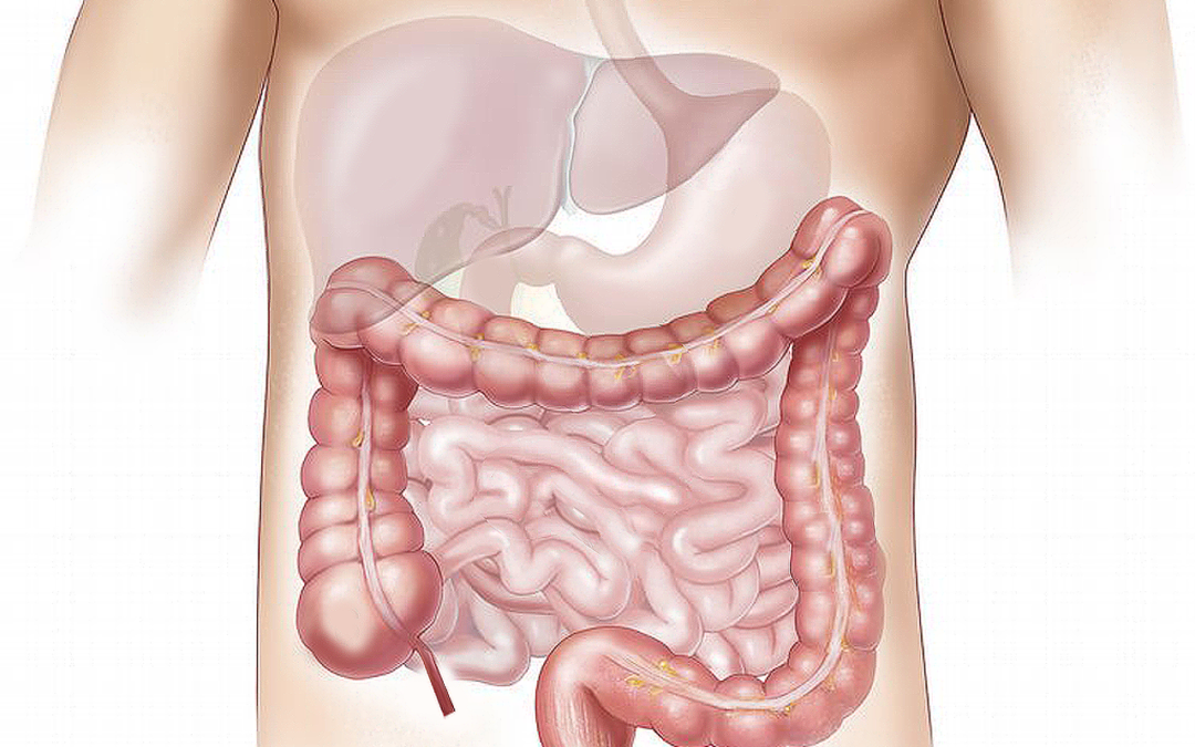 Gastroenterology